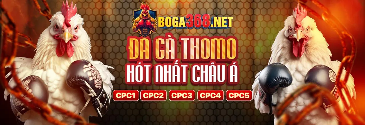 Hướng dẫn tham gia Chương Trình VIP tải vip69