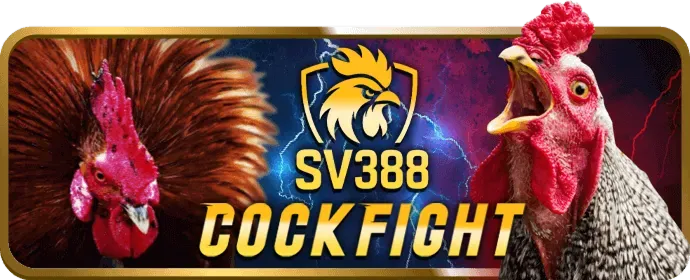 Cá cược an toàn và trách nhiệm VIP69